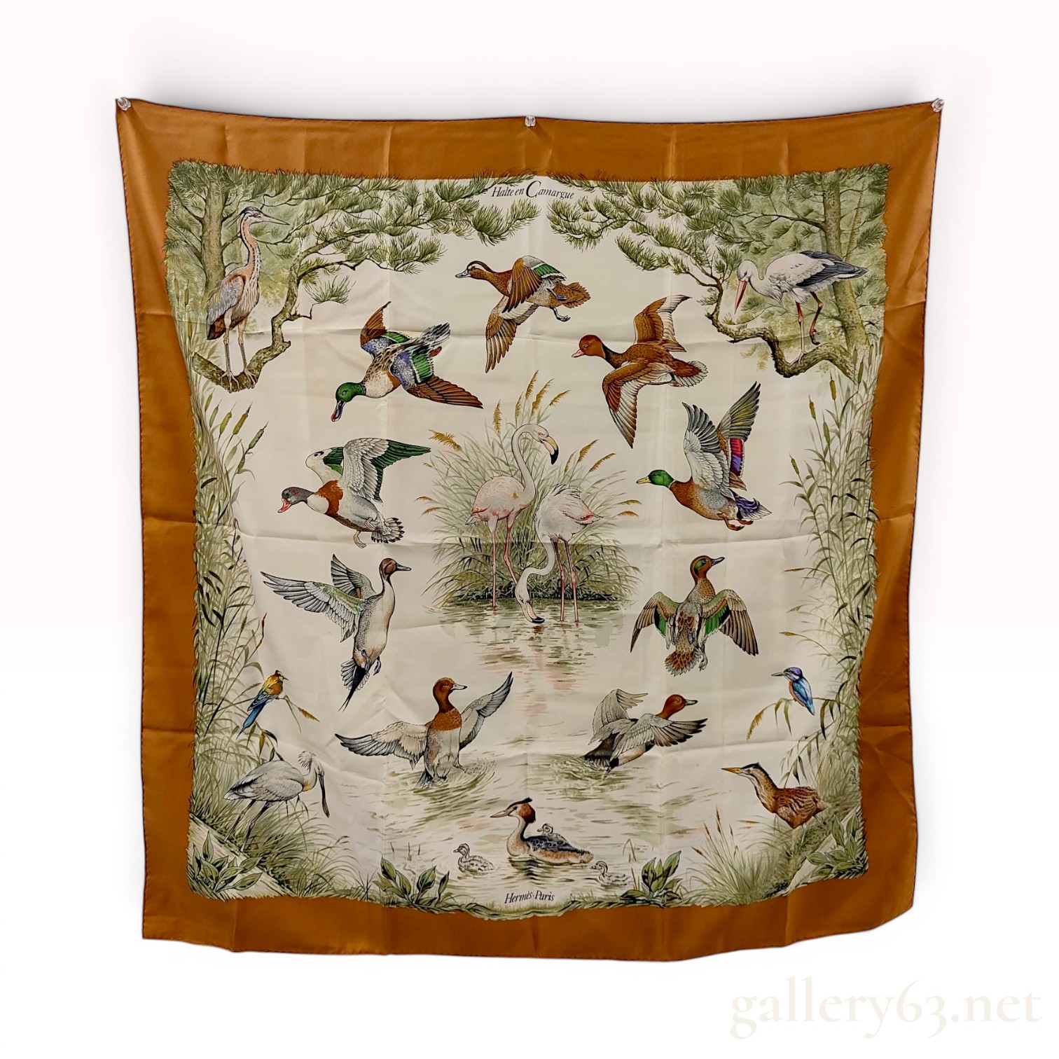 Hermes Silk Halte en Camargue Scarf by Robert Dallet