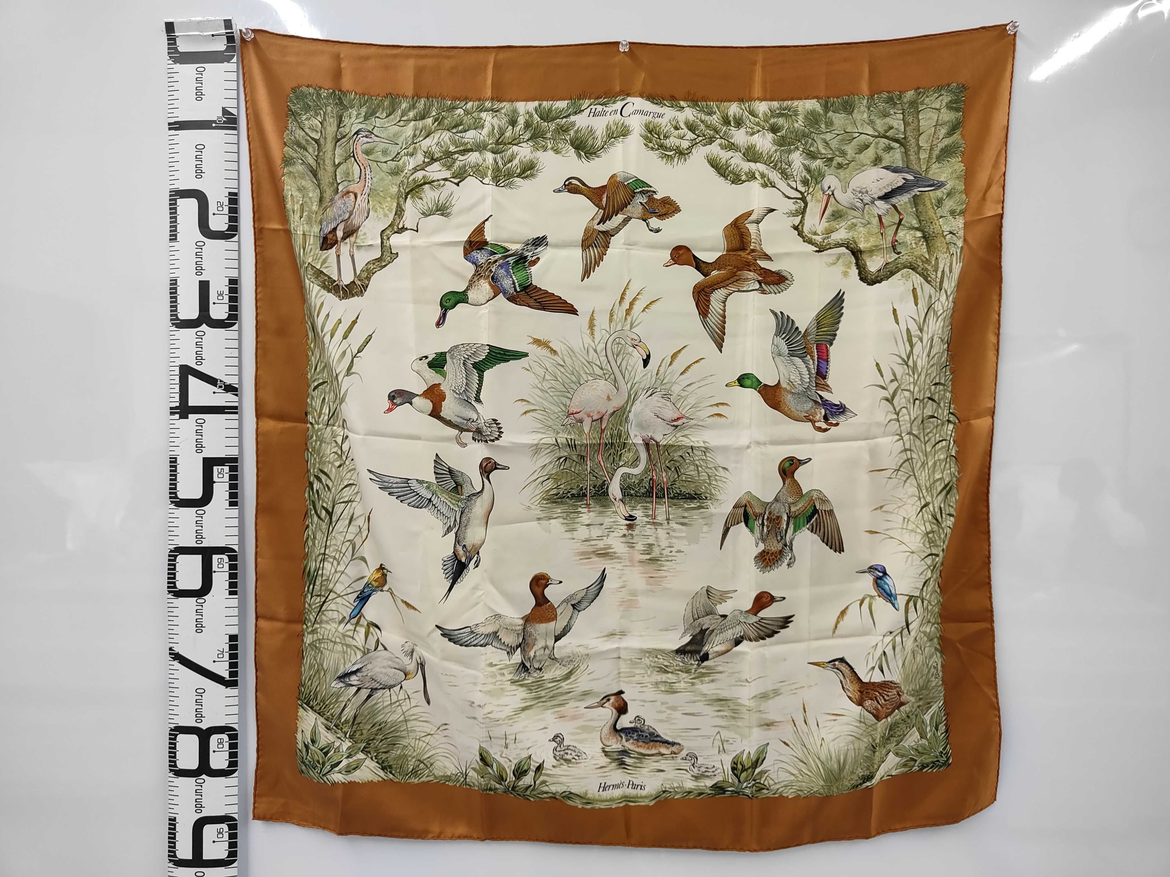 Hermes Silk Halte en Camargue Scarf by Robert Dallet