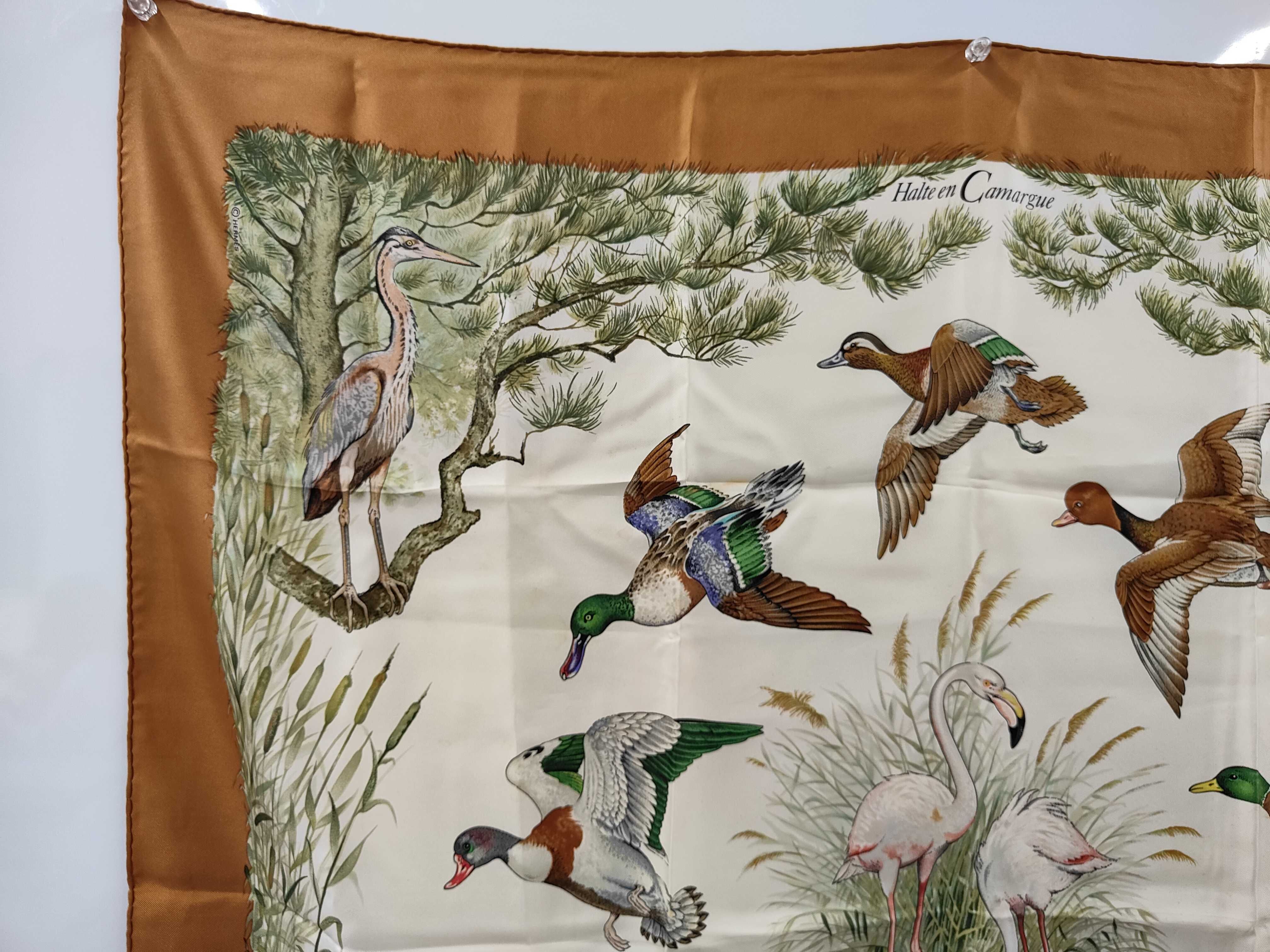 Hermes Silk Halte en Camargue Scarf by Robert Dallet