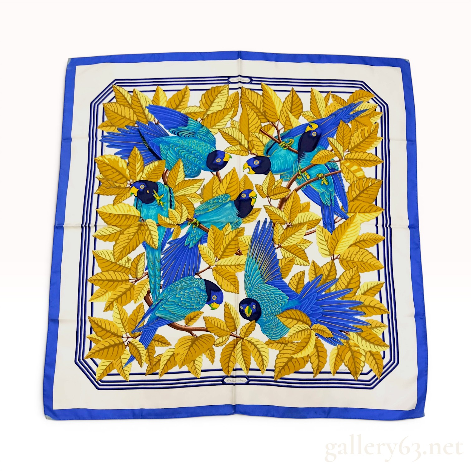 Hermes Les Perroquets Silk Twill Scarf by Joachim Metz