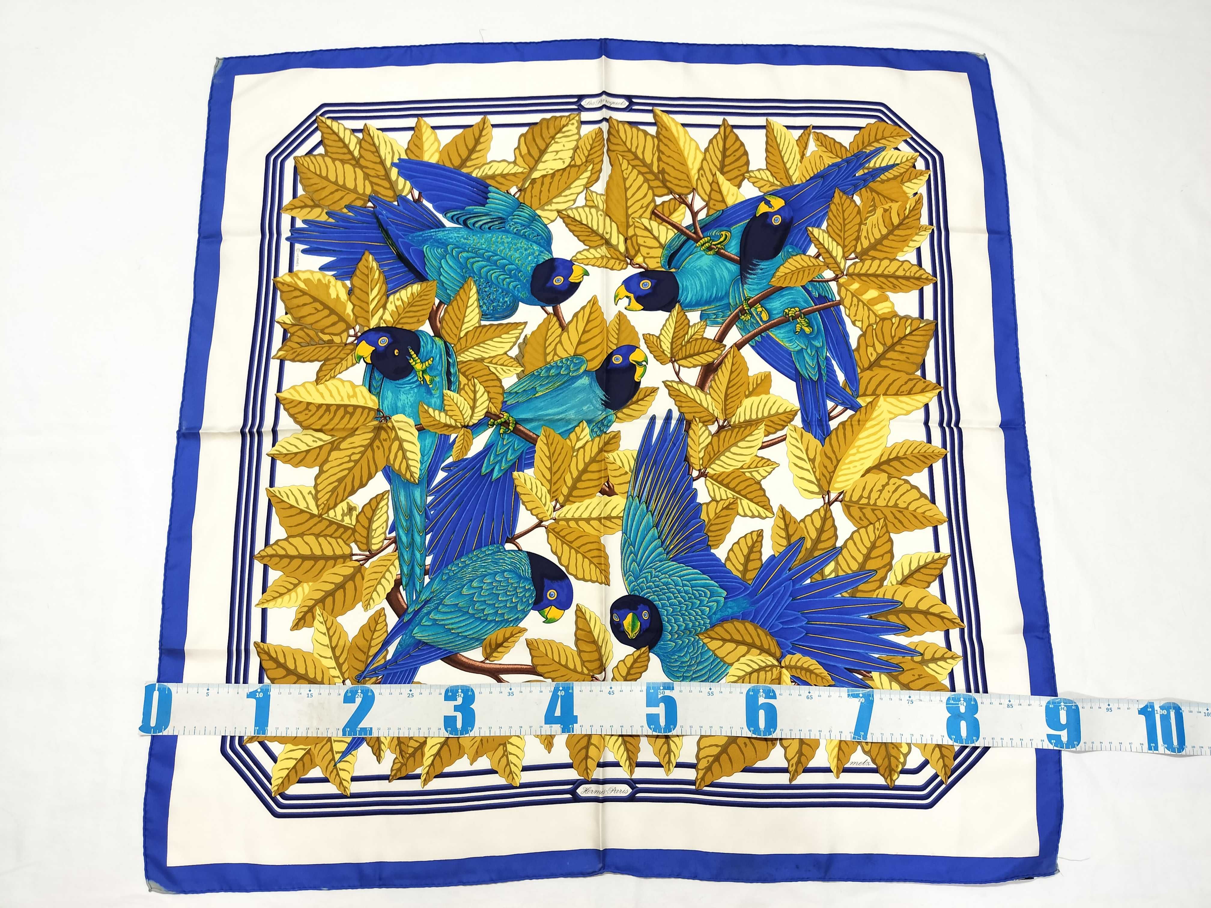 Hermes Les Perroquets Silk Twill Scarf by Joachim Metz