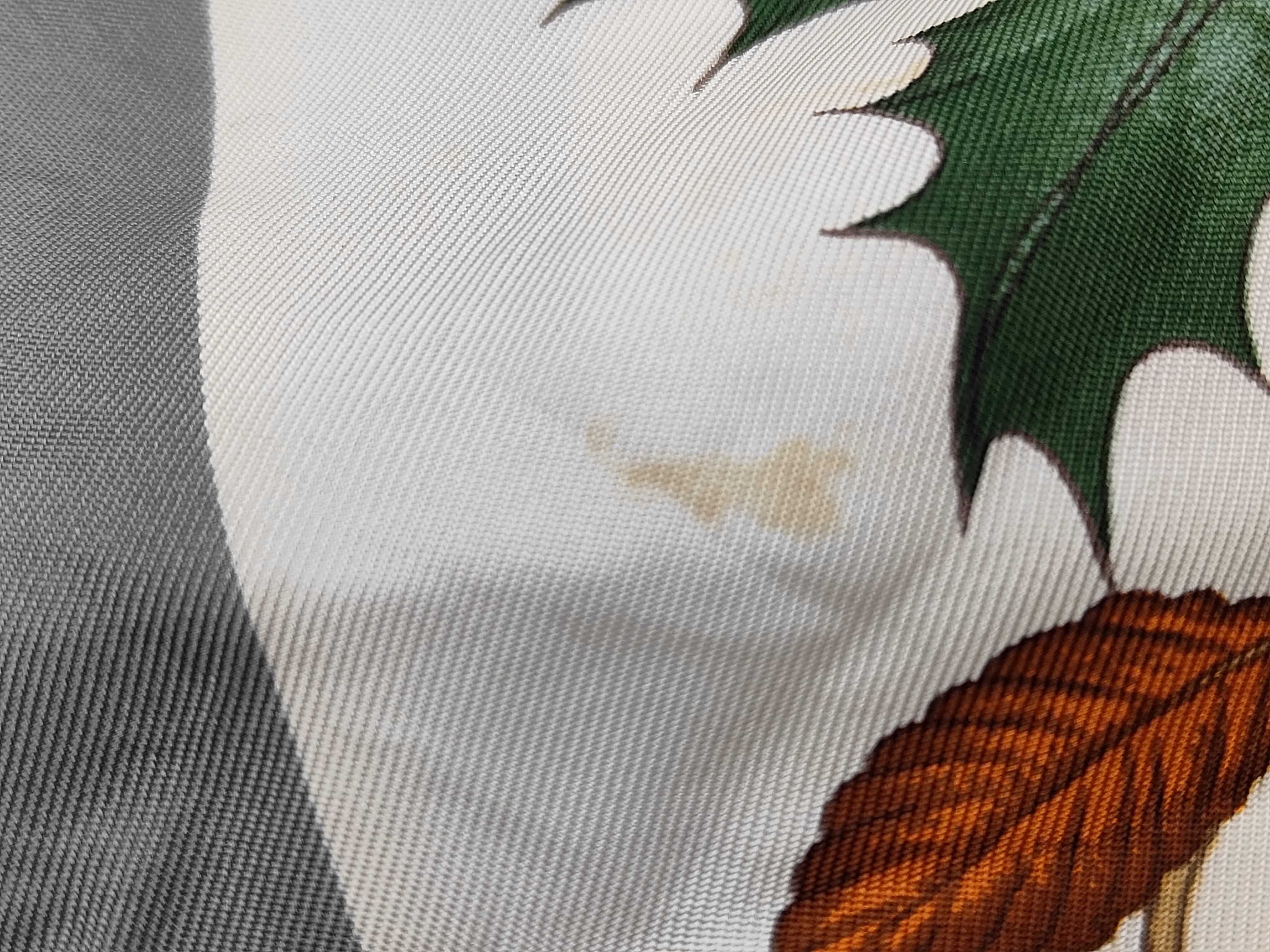 Gucci Vittorio Accornero Flora Print Silk Scarf