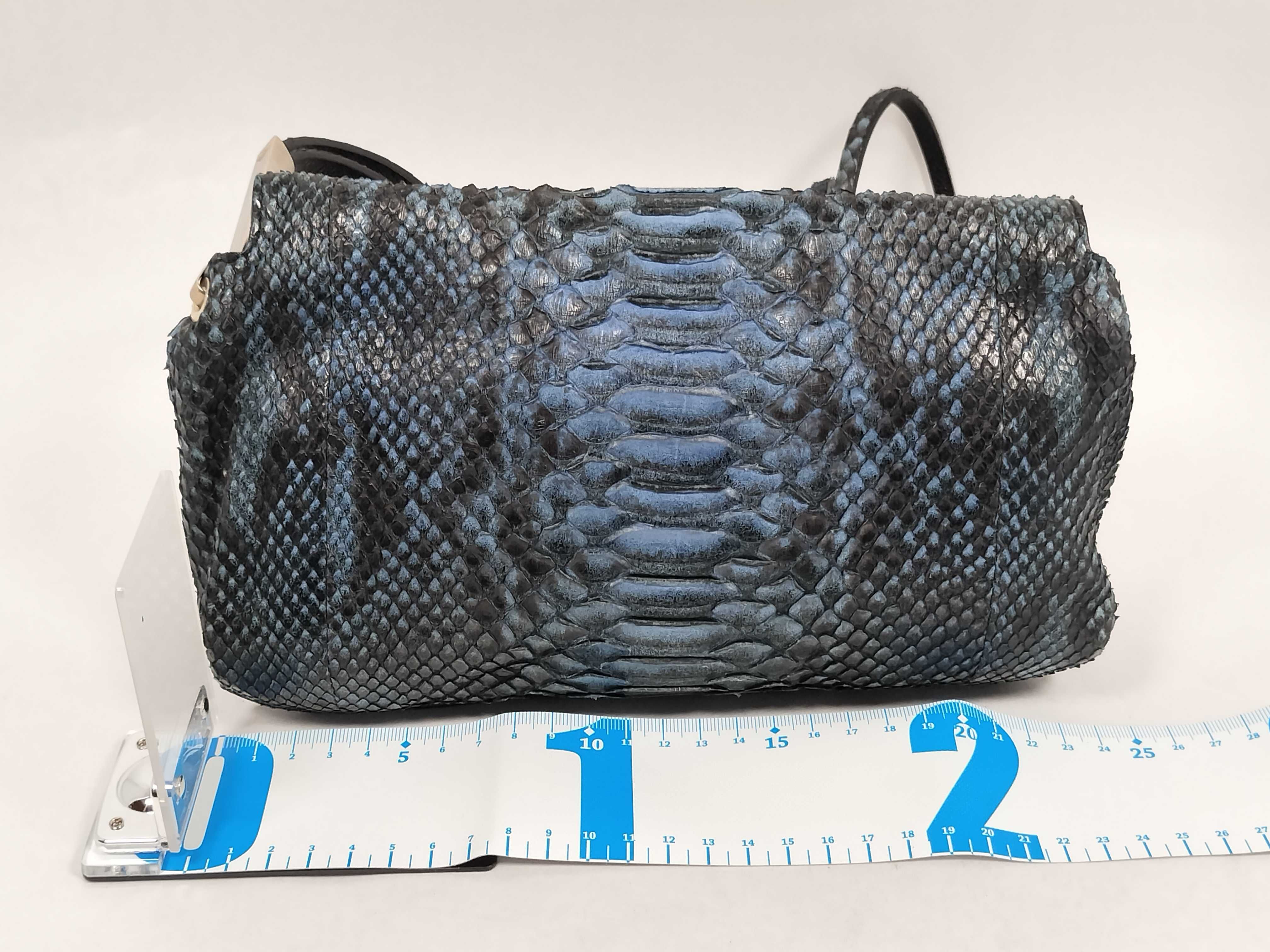 Bottega Veneta Genuine Python Skin Accordion Crossbody Bag