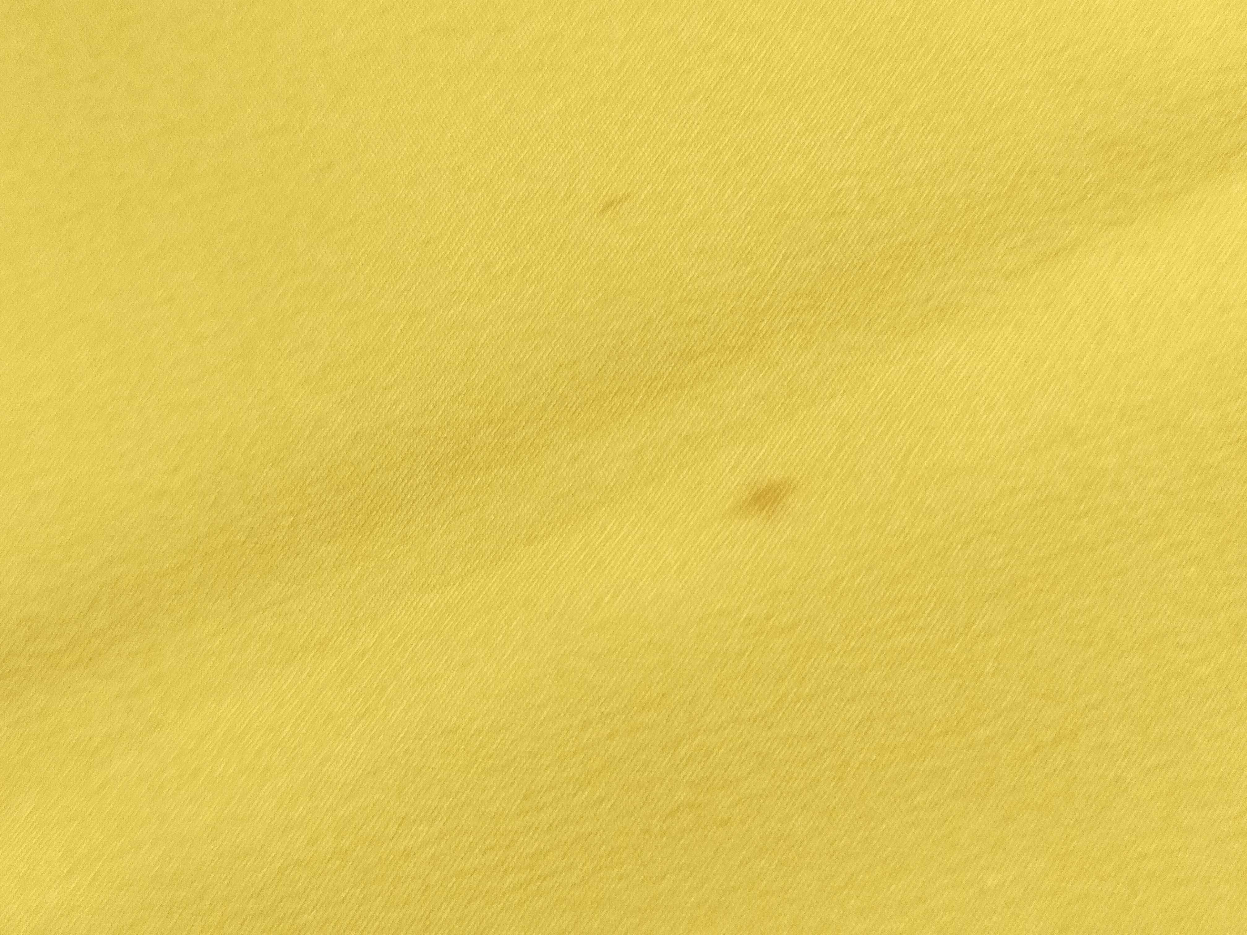 Must de Cartier Silk Panthere Motif Scarf
