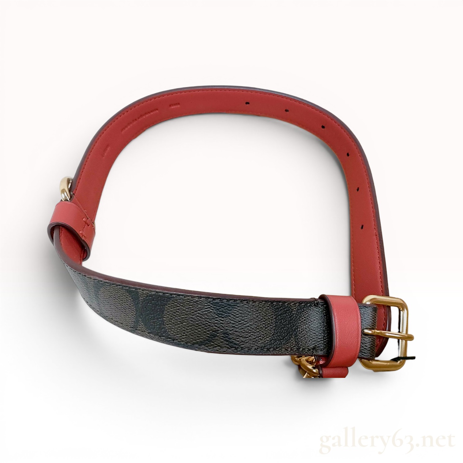 Coach Large Signature Canvas and Leather Pet Collar with Box