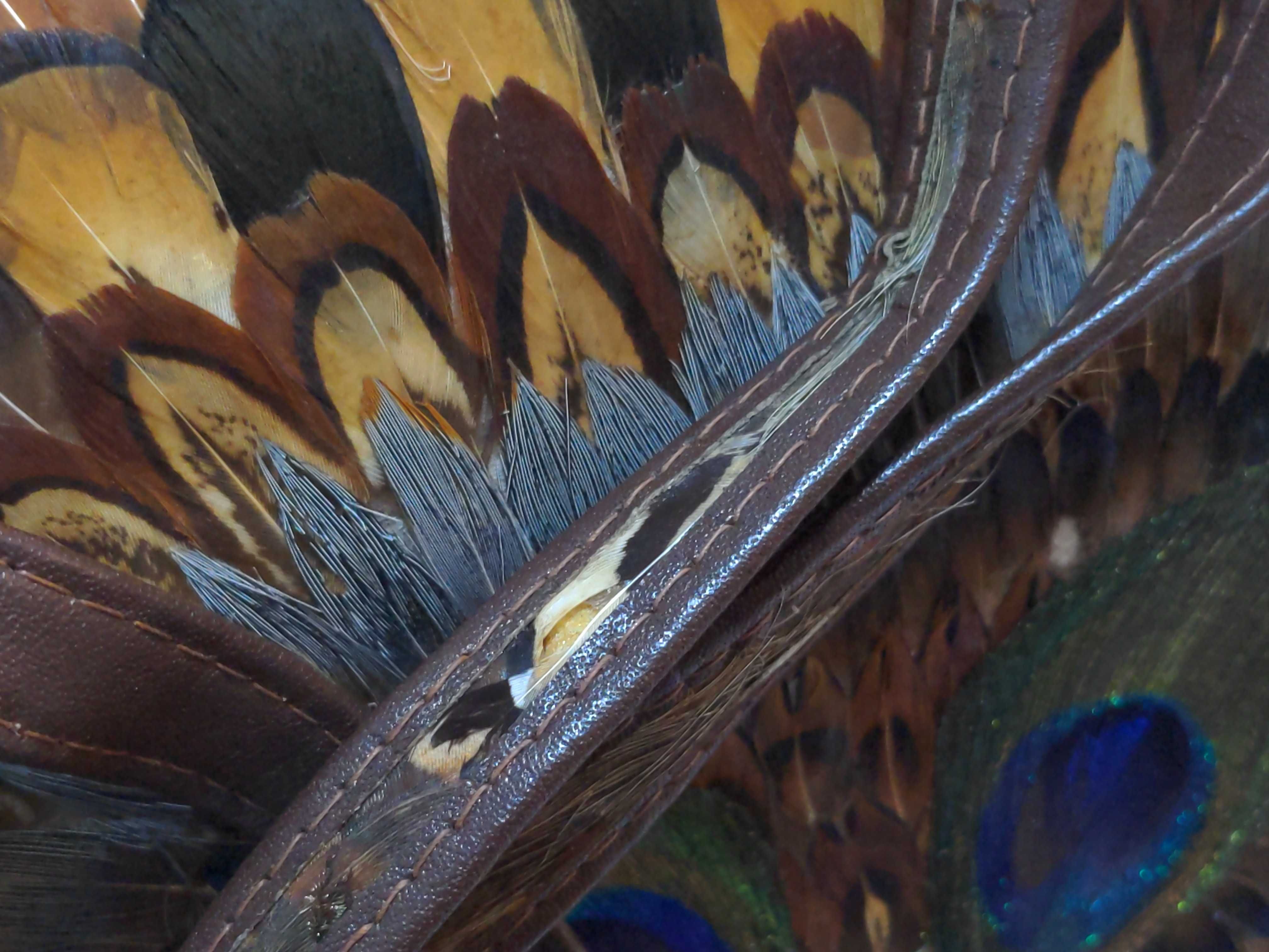 Vintage Genuine Peacock and Pheasant Feather Box Handbag