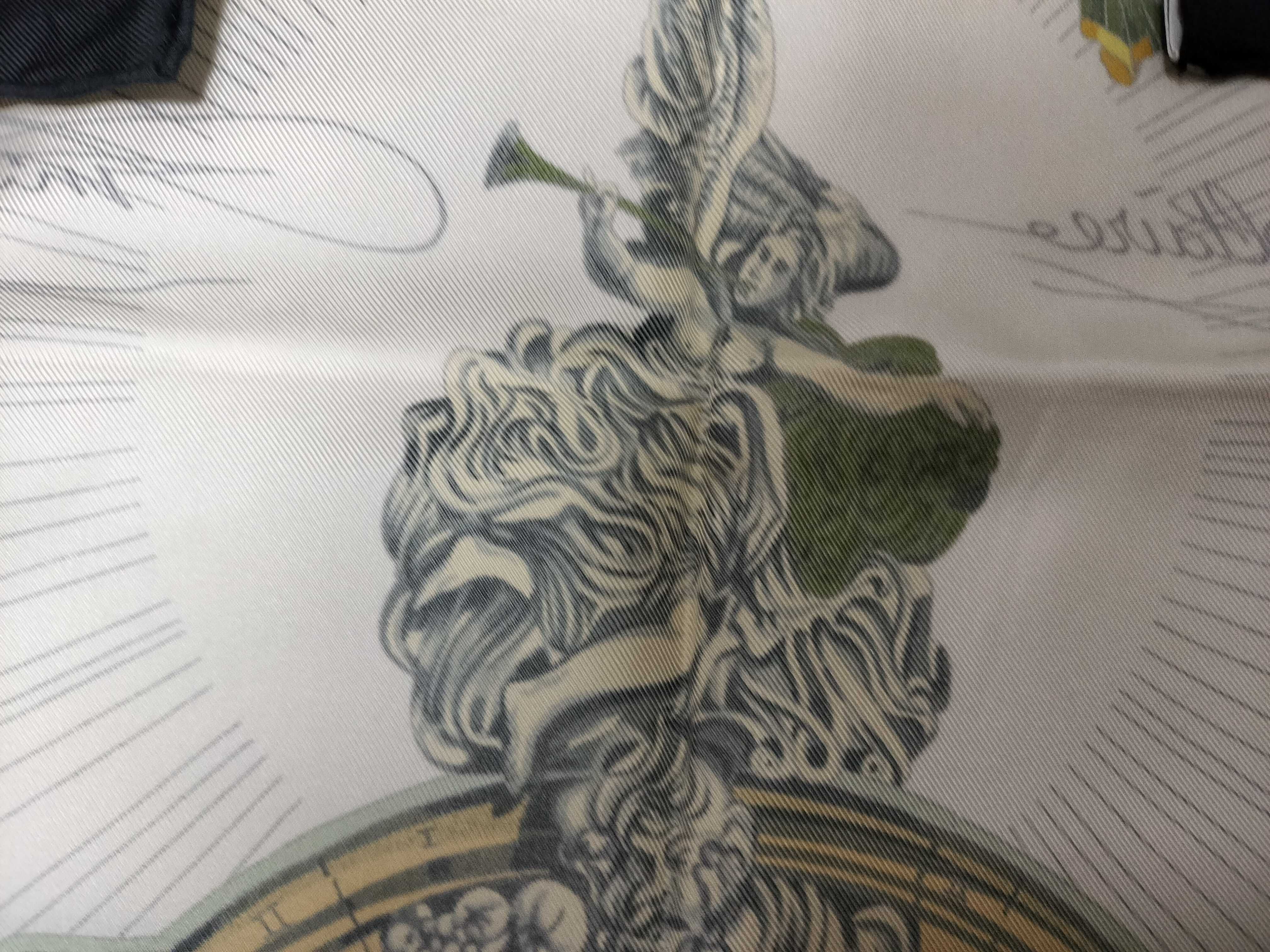Hermes Sans Soucy Silk Scarf by Loic Dubigeon