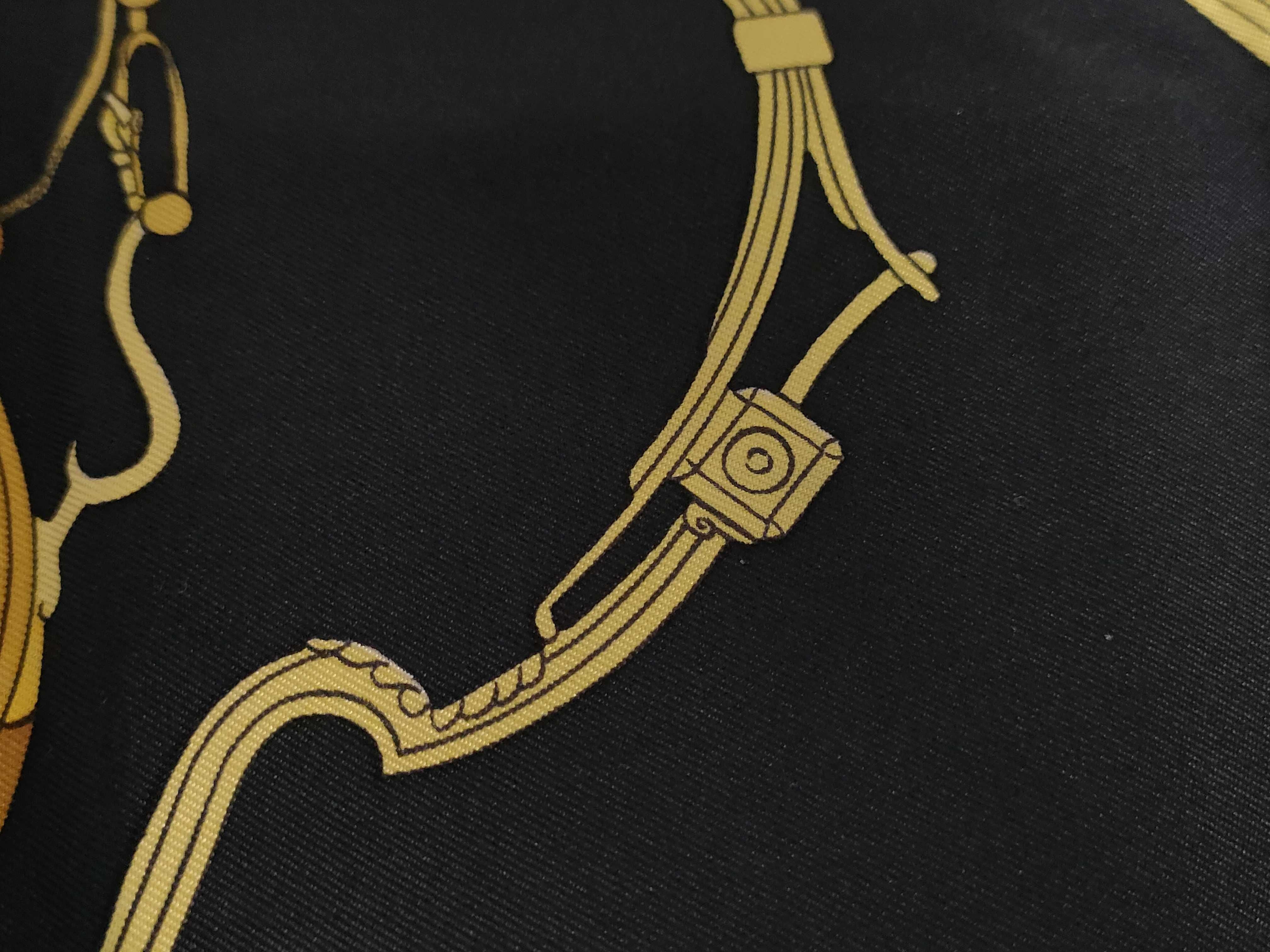 Hermes Springs Silk Scarf