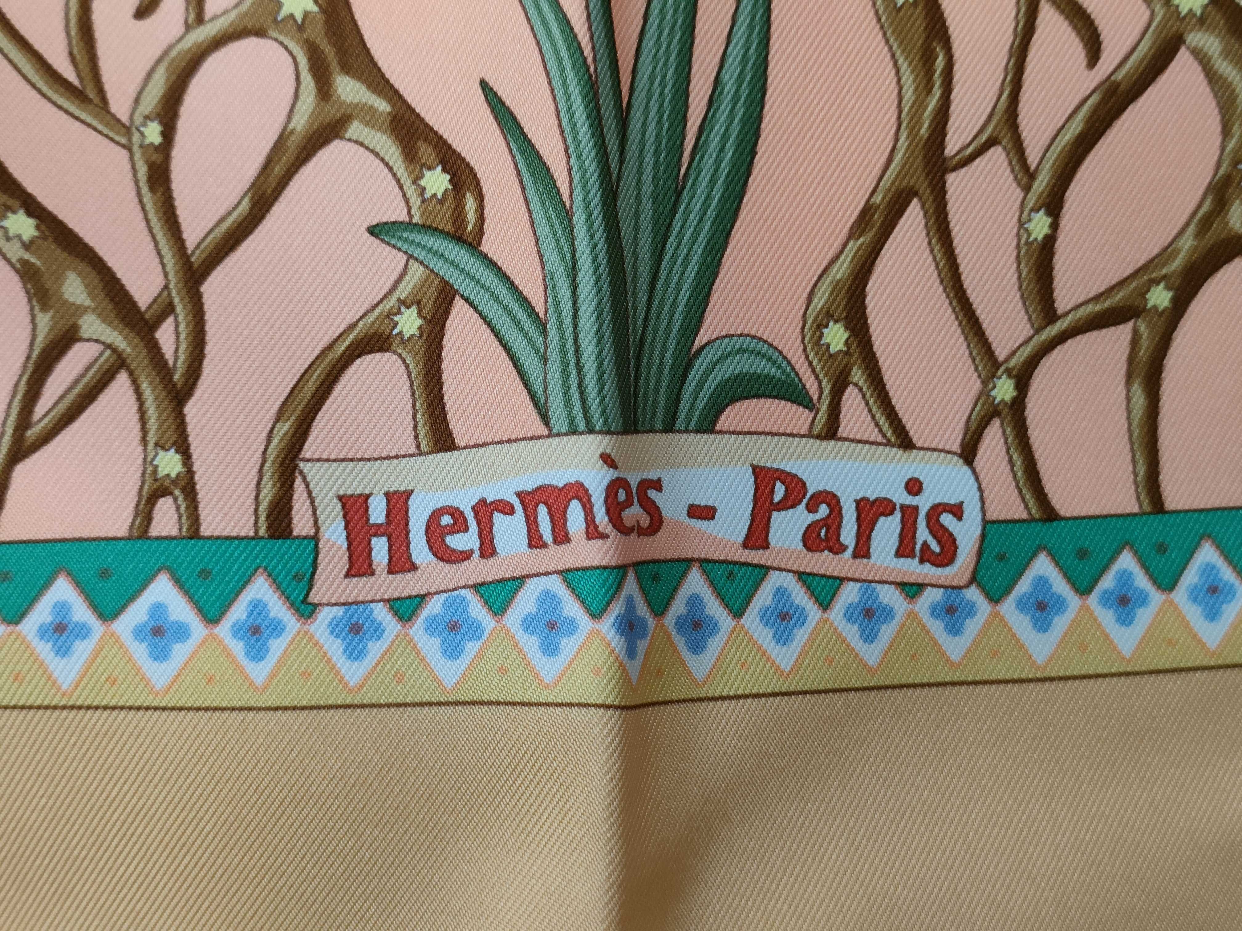 Hermes Paris Silk Twill Axis Mundi Scarf