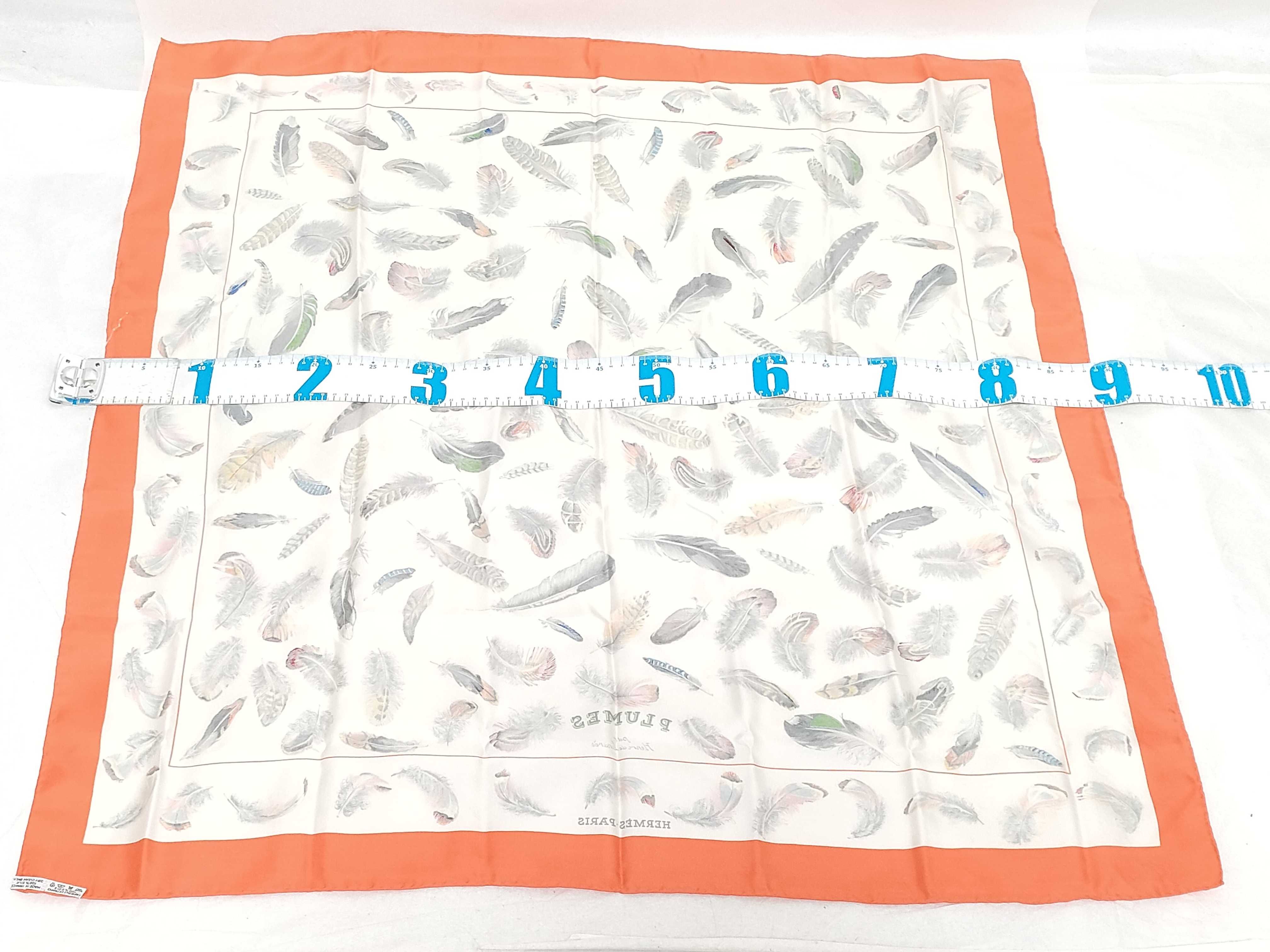 Hermes Plumes Silk Scarf by Henri de Linares