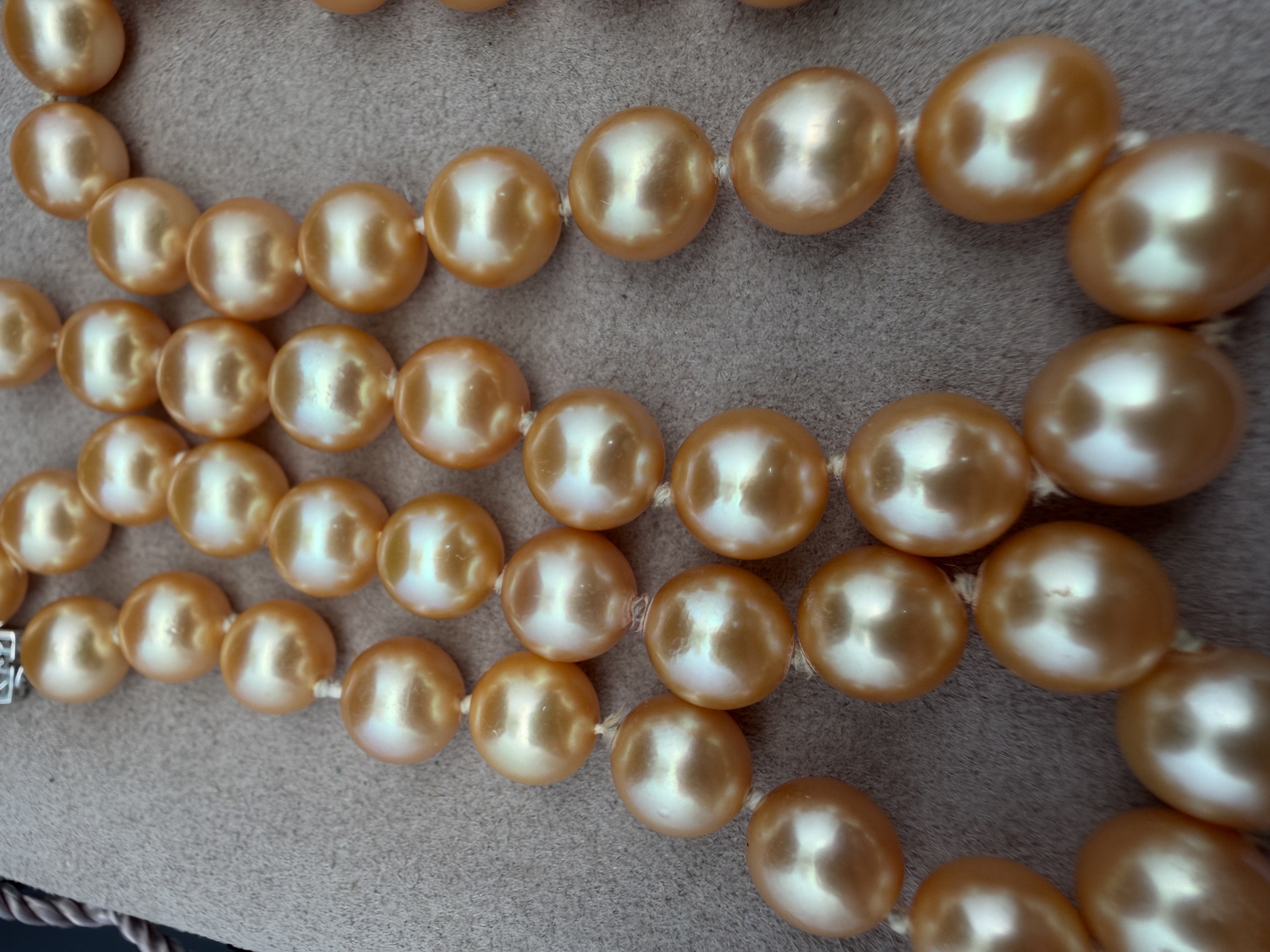 Golden South Sea Pearl Strand