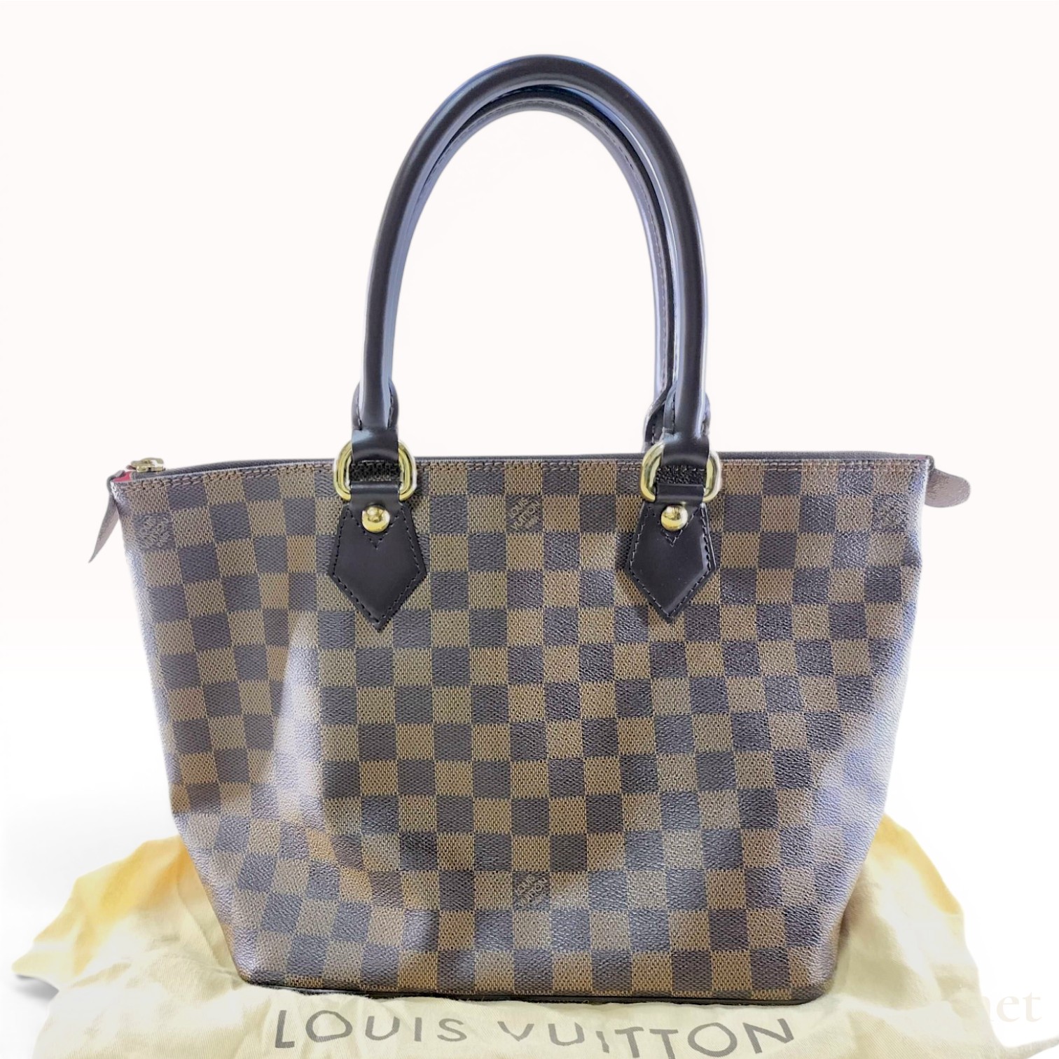 Louis Vuitton Damier Ebene Saleya PM Tote Bag