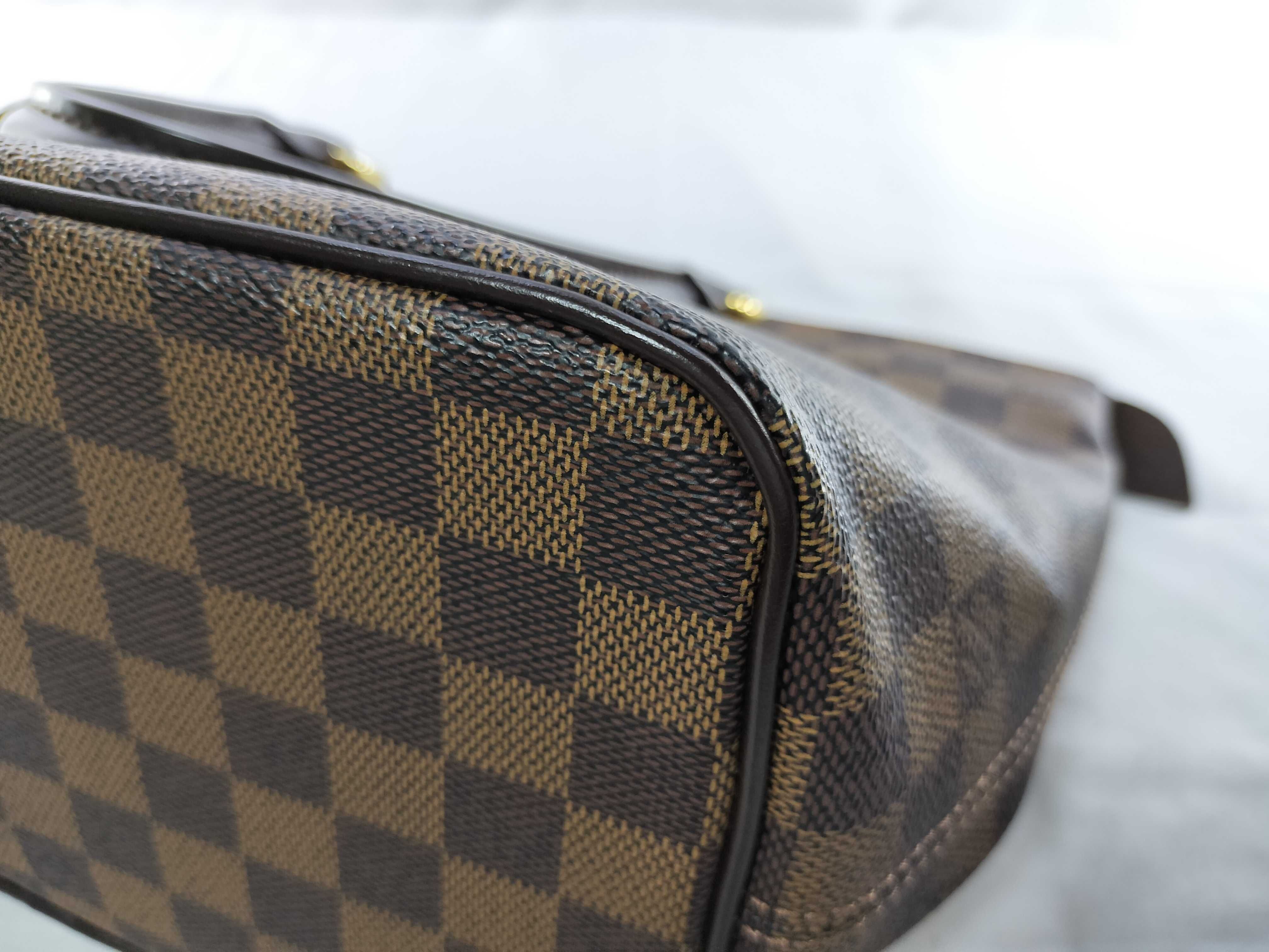 Louis Vuitton Damier Ebene Saleya PM Tote Bag