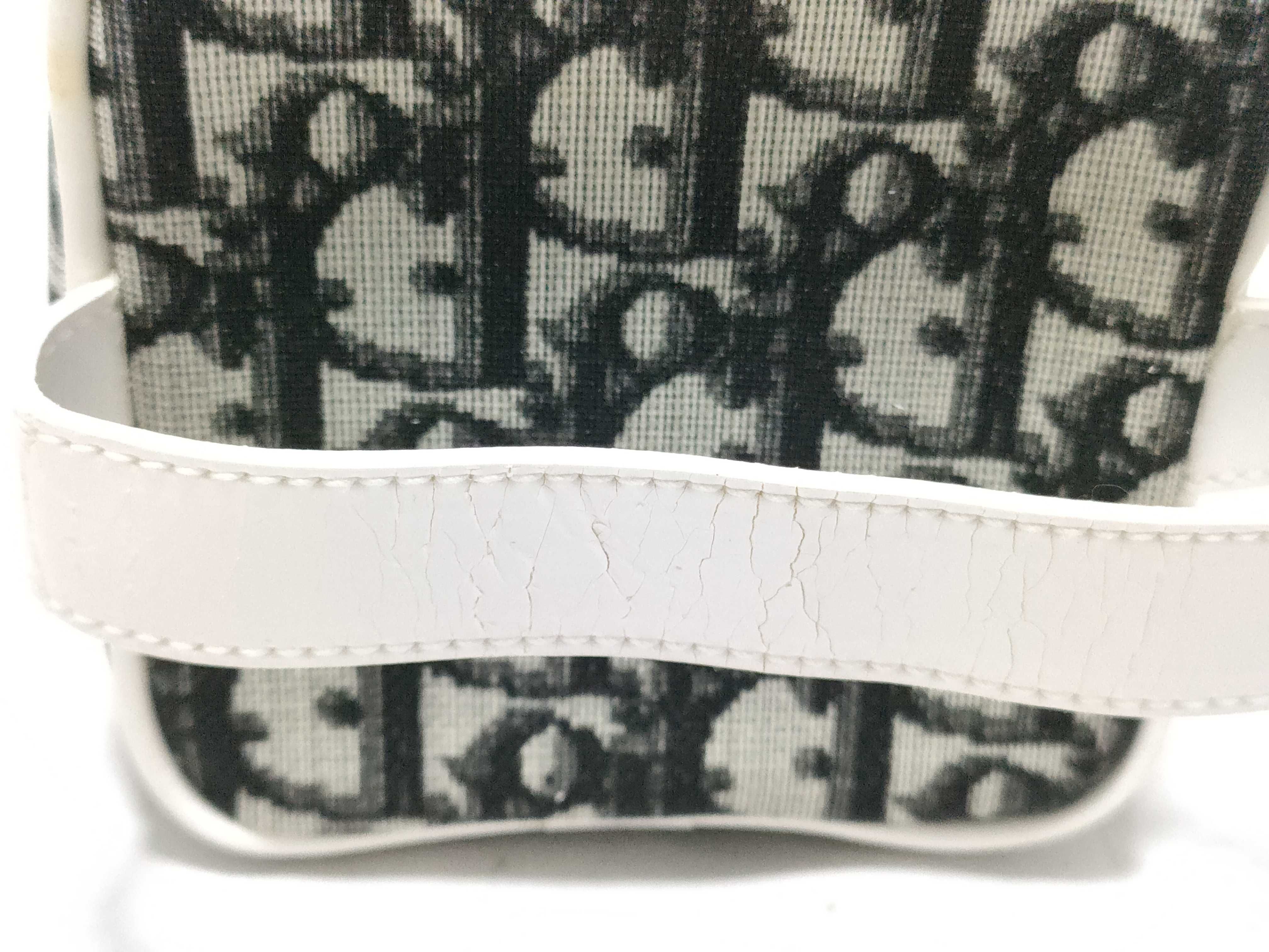Christian Dior Oblique Trotter No. 2 Vanity Case