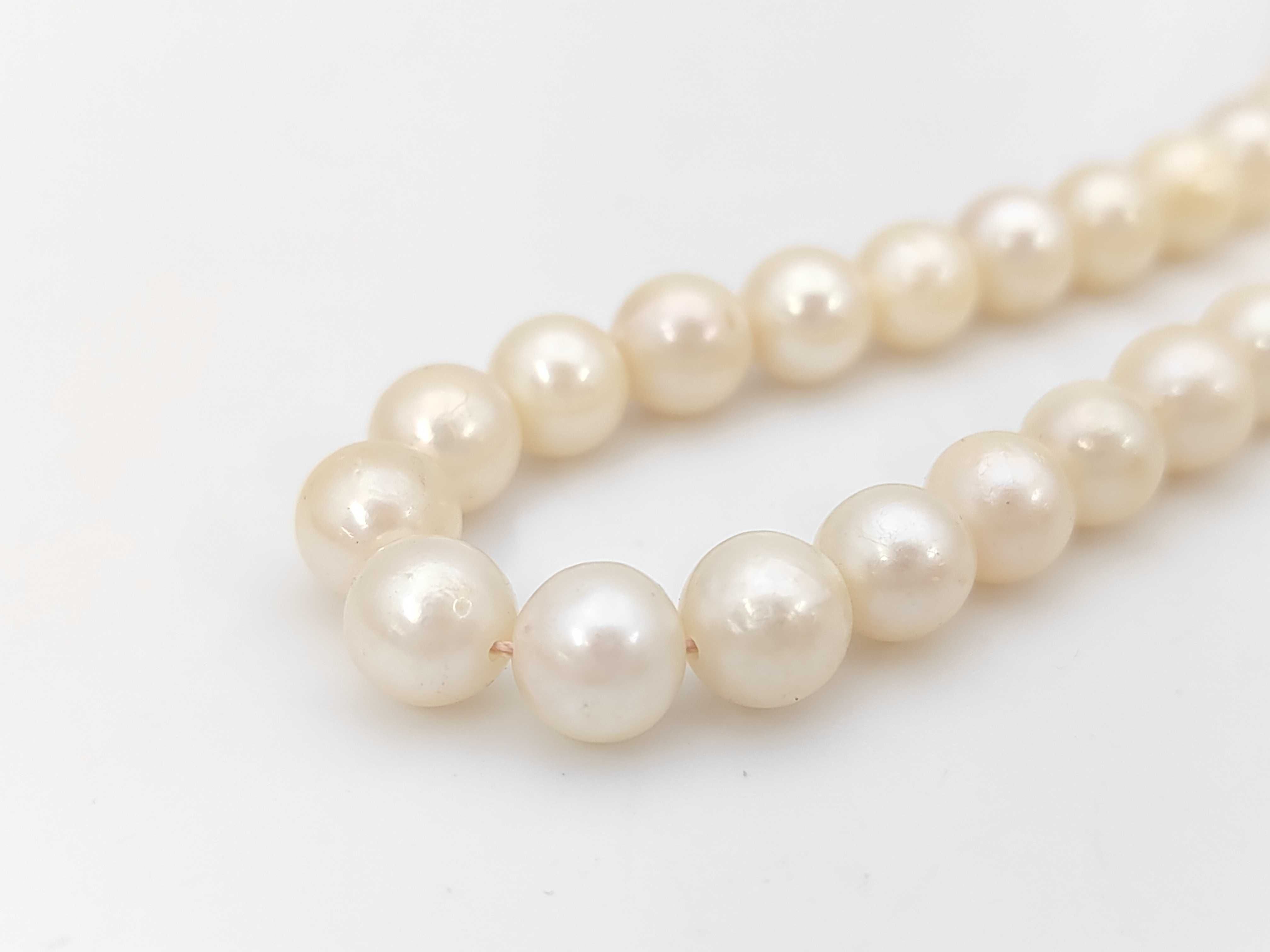 Graduated Akoya Cultured Pearl Strand Necklace with Silver Clasp