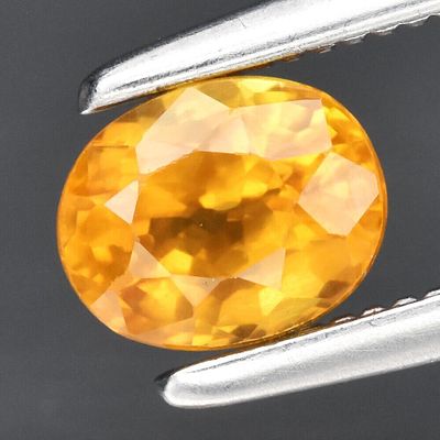 Safira - 0.60cts - Bangkaja, Chanthaburi. Tipo de Gema: Safira Natural
Forma: Oval