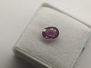 Garnet - 1.24cts - Mozambique. GEM TYPE: Natural Rhodolite Garnet 
SHAPE: Oval 
WEIGHT: 1.24Ct. Image - 1