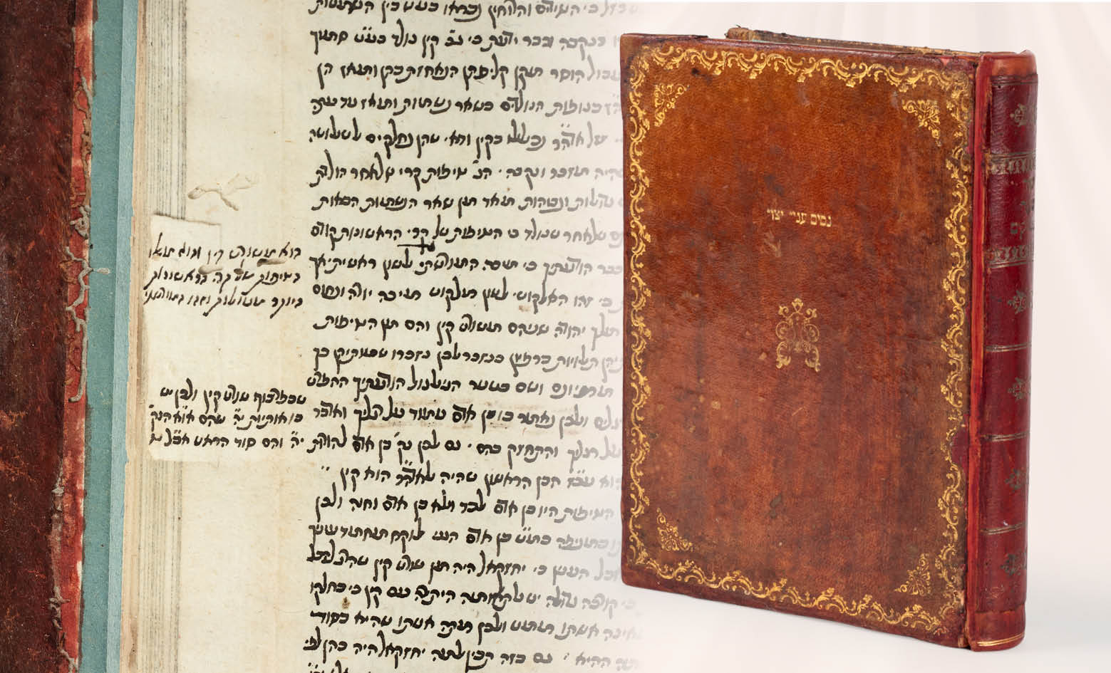 Lot 25 - Genazym Auctions