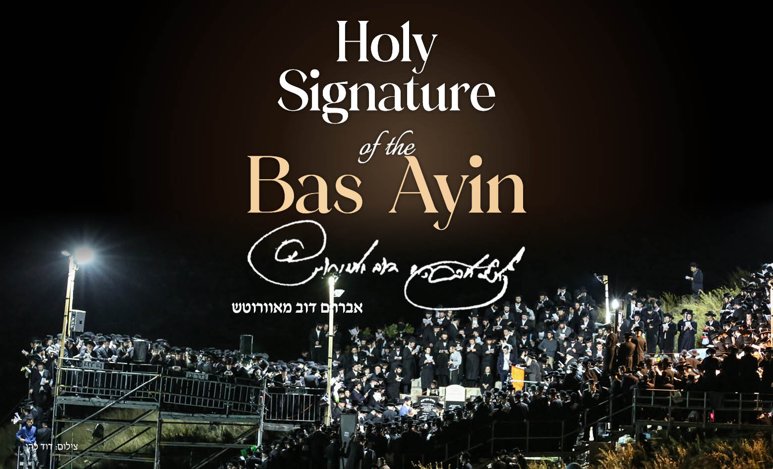 Lot 35 - Genazym Auctions