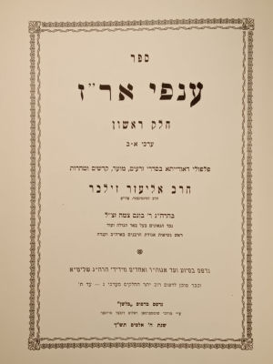 Anfei Erez from Rav Eliezer Silver, Rov of Cincinatti, and head of Vaad Hatzoloh
2 Volumes 