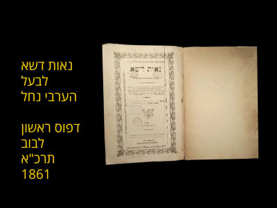 NEOS DESHE. FIRST EDITION. STAMP OF R' CHAIM MESHULEM HAKOHEN KAUFMAN, RAV OF GUSTYNIN. LEMBERG 