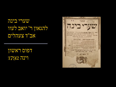Sha'arei Binah - elucidation on the book Sha'arei Shevuot attributed to the Ri"f, by Rabbi 
