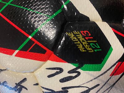 OFFICIAL 2012/2013 SEASON BALL WITH AUTOGRAPHS OF Juventus FOOTBALLERS. Unfindable! 
2012/2013 