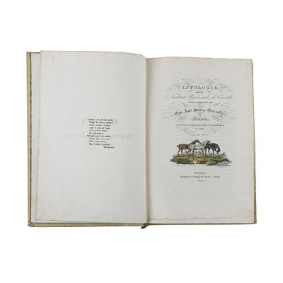 Ippologia ossia Trattato Universale de’ Cavalli. Autore: Gio. Ant. Maria Gazzola Stampato in 