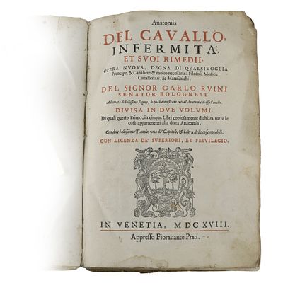 ​DEL CONOSCERE LE INFERMIT&Agrave; CHE AVVENGONO AL CAVALLO, ET AL BUE. Co’ rimedij &agrave; ciascheduna di 