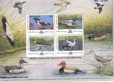 2000 Indepex Asiana 2000 : Asian International Philatelic Exhibition - Birds Miniature Sheet