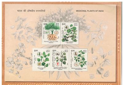 2025 INDIA Medicinal Plants of India Miniature Sheet