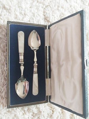 BOXED SET OF TWO SPOONS MOTHER OF PEARL HANDLES