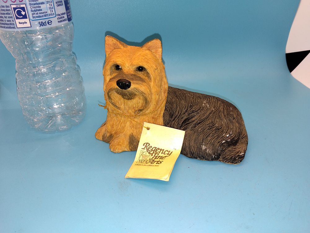 VERY NICE REGENCY FINE ARTS YORKSHIRE TERRIER