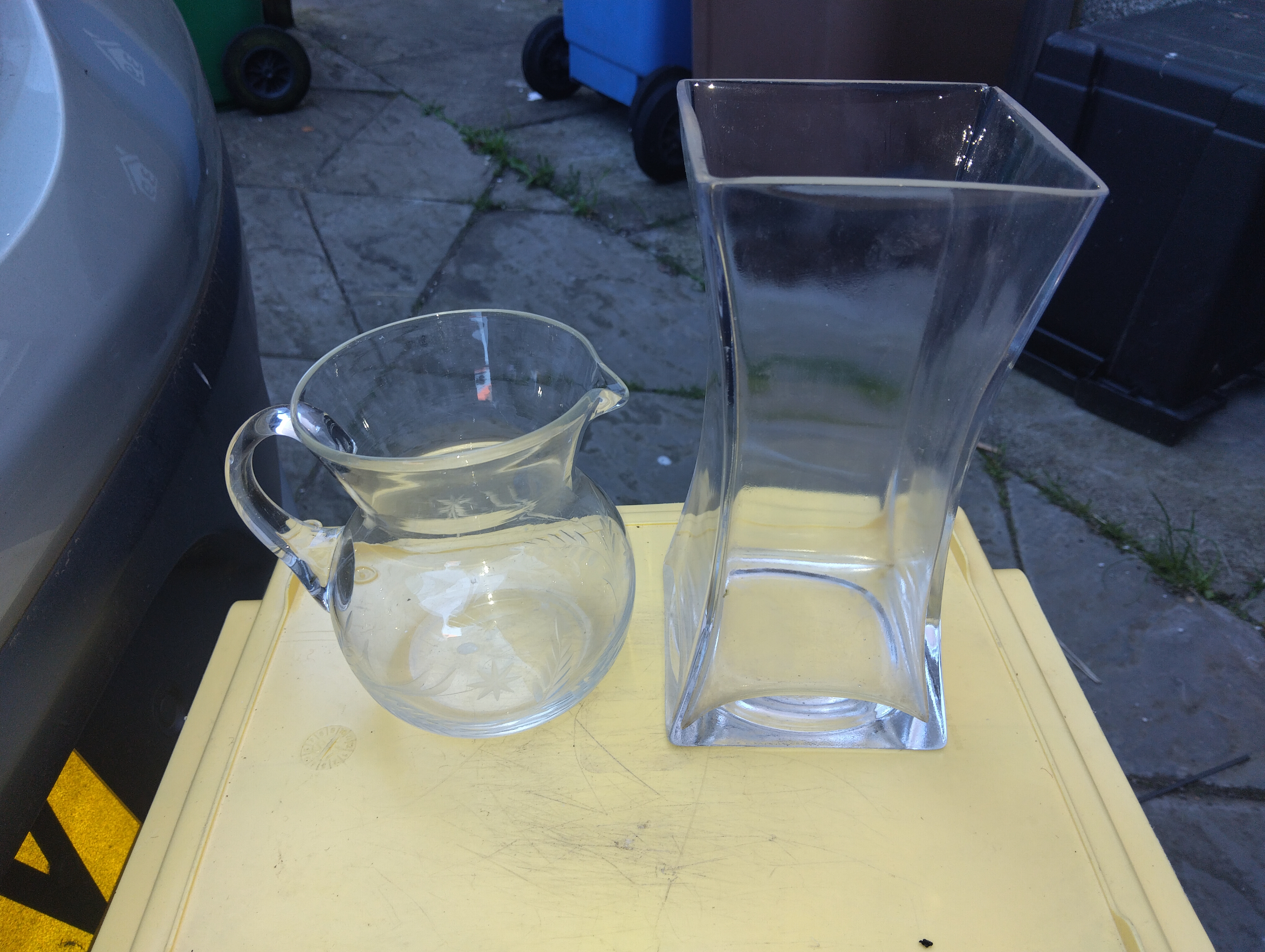 NICE FERN WATER JUG AND GLASS VASE