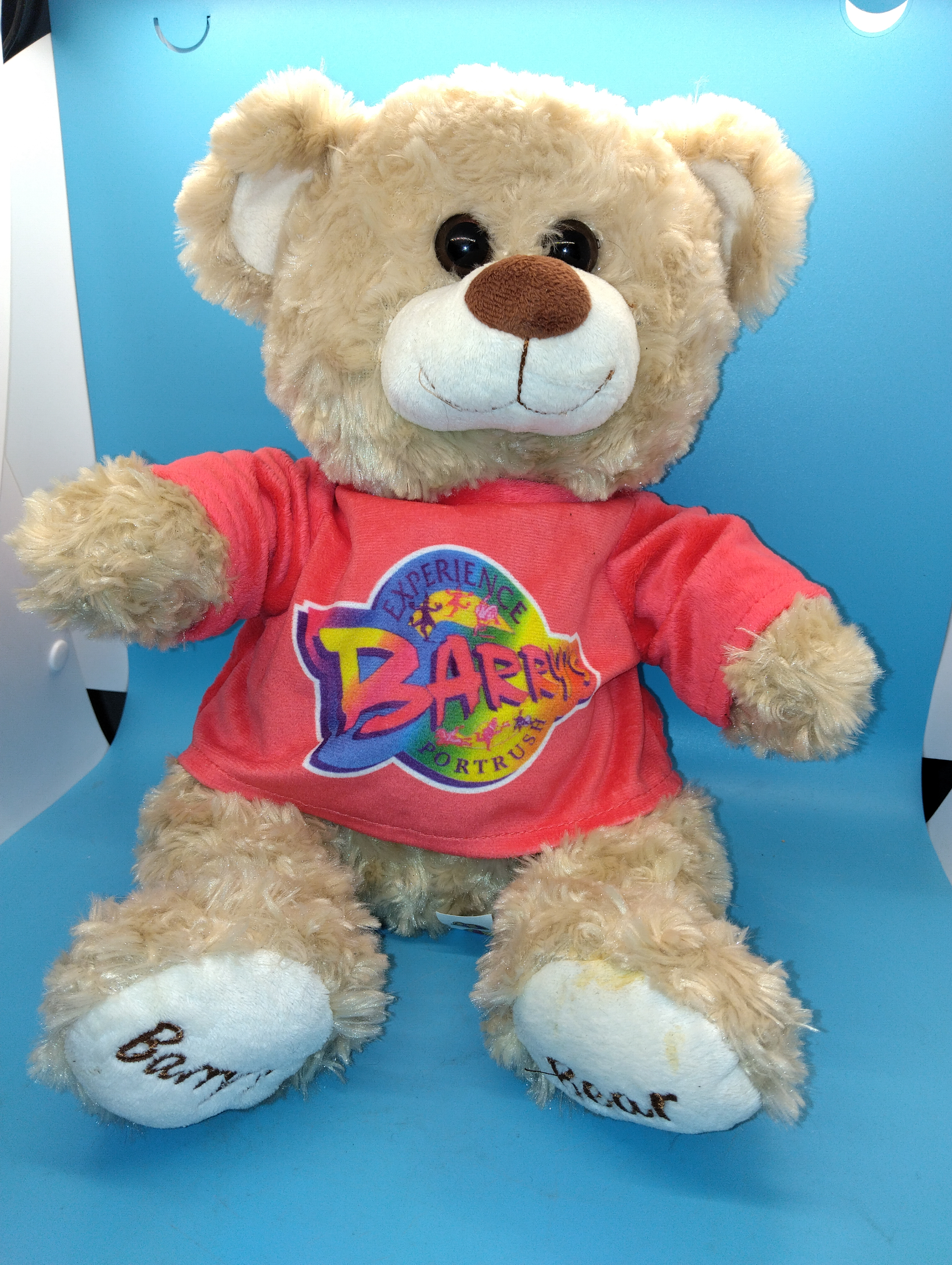 RARE COLLECTIBLE PORTRUSH BARRY BEAR