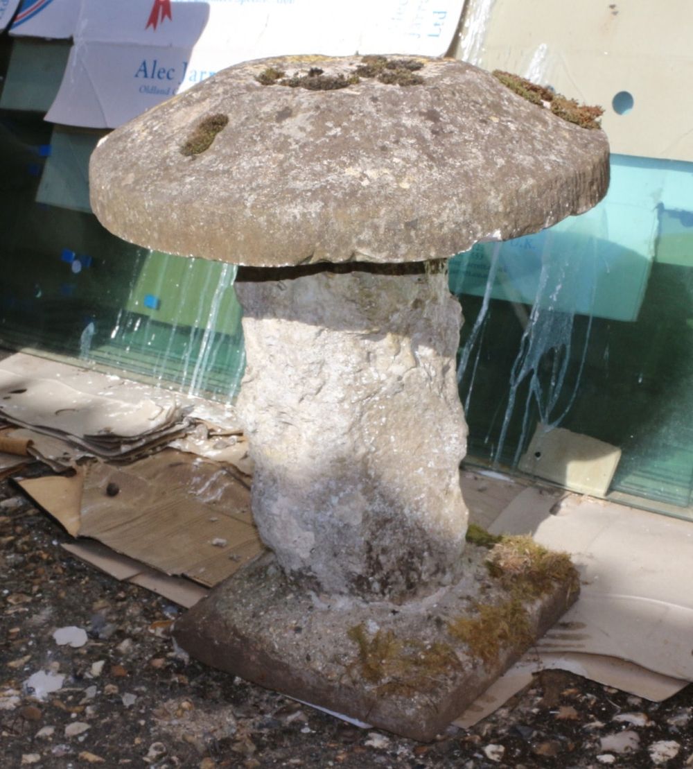 Lot 159: Weathered Garden Toadstool