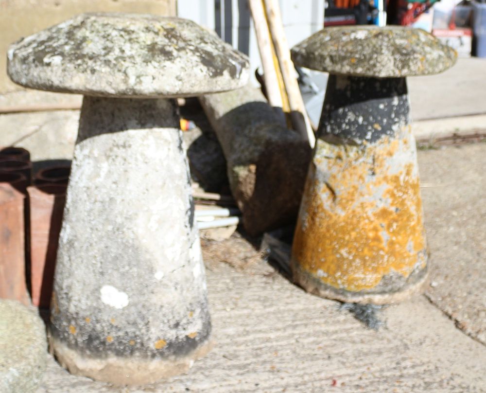 Lot 160: A Pair of Weathered Toadstools Garden Ornaments