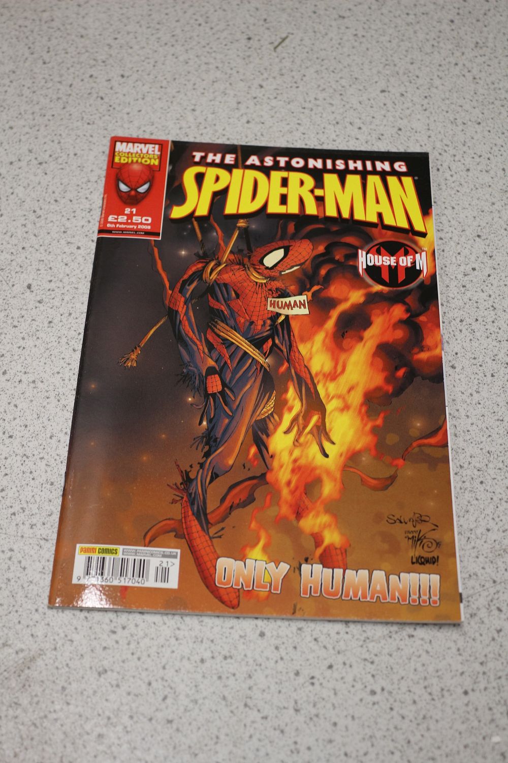 Lot 570: Panini Comics The Astonishing Spider-Man Marvel Collectors Edition
