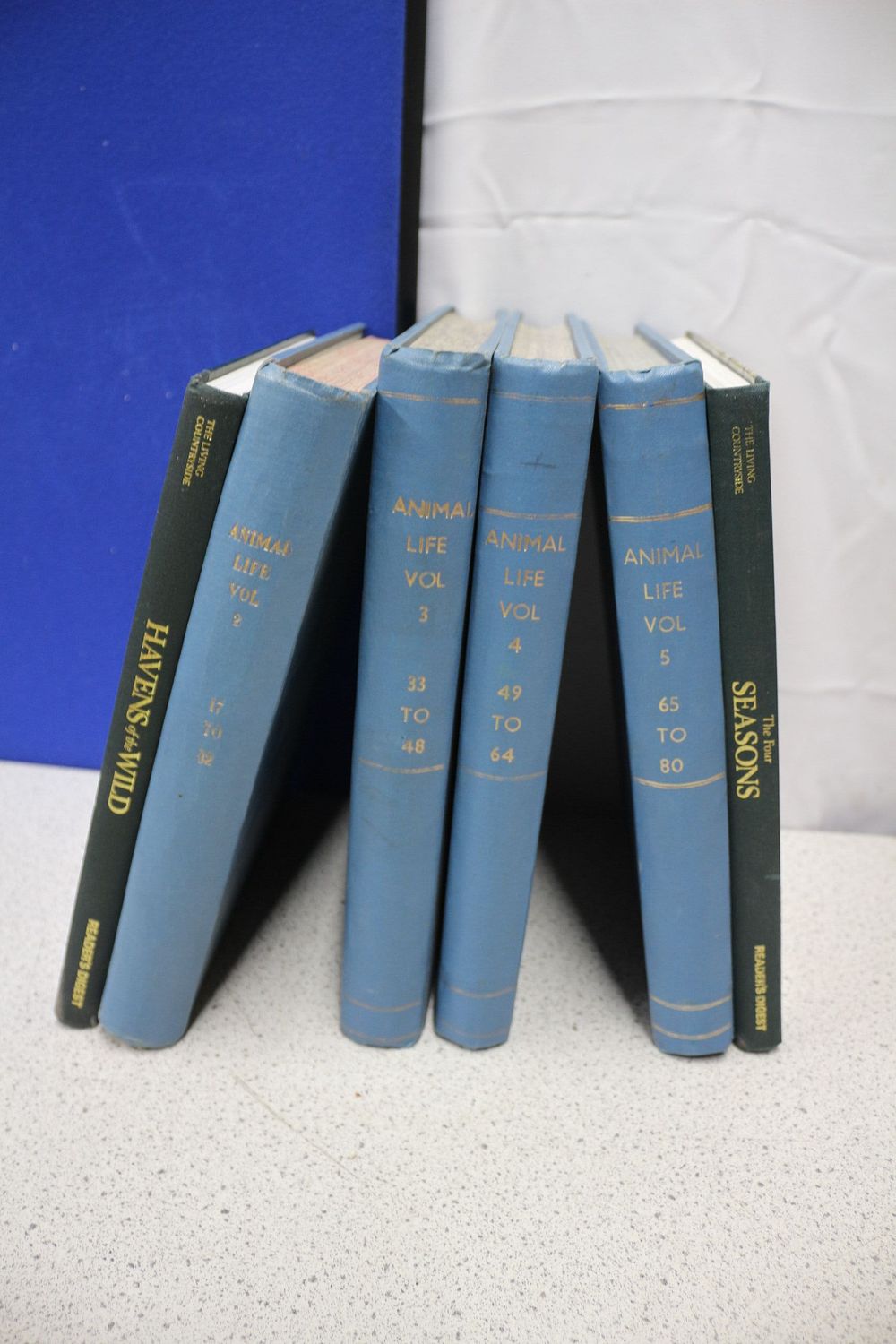 Lot 273: Animal Life Vol 2-5 Plus 2x Living Countryside Books