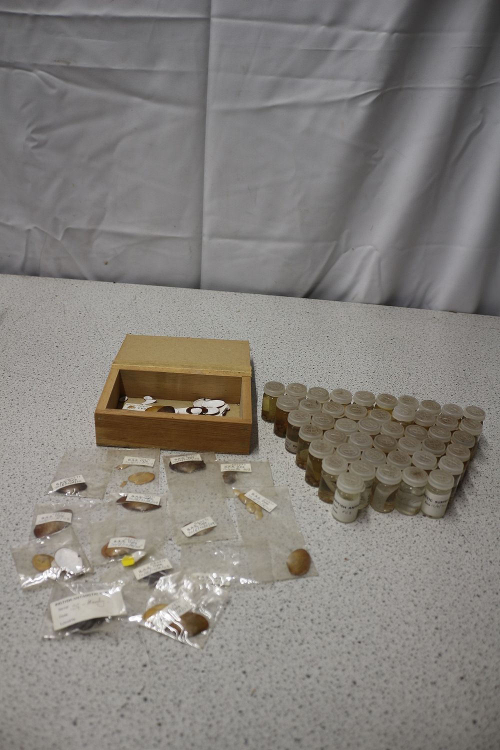 Lot 211: A Collection of British Antarctic Survey Biological Specimens from 1970s
