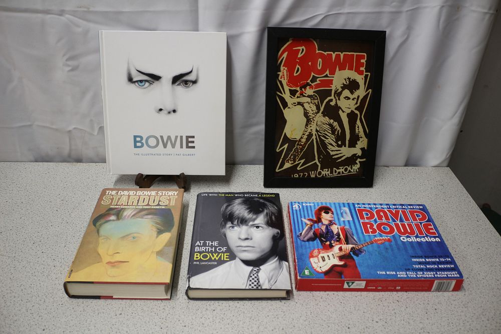 Lot 394: Bowie The Illustrated Story by Pat Gilbert and Other Collectibles
