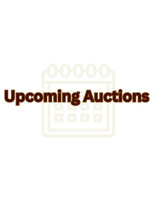 Upcoming Auctions