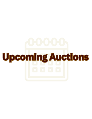 Upcoming Auctions