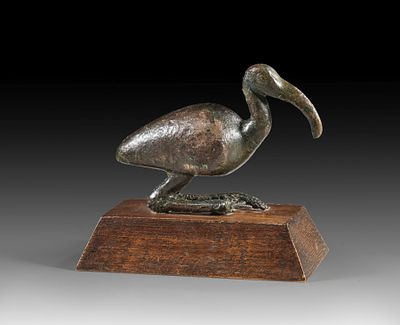 Bronze statuette of a sitting Ibis. Bronze statuette of a sitting Ibis, holy animal of the god 