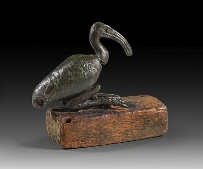 Full cast bronze ibis. Full cast bronze ibis made of four parts, L 10cm, H 6,5cm (with stand). 