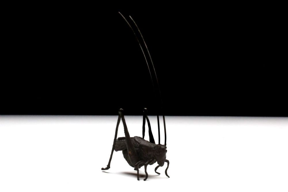 Lot 397: A Japanese Bronze Okimono Figure of a Grasshopper.