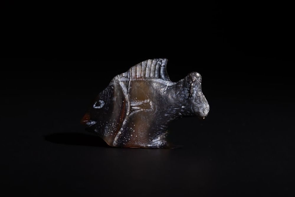 Lot 176: An Egyptian Agate Fish Probably Roman Egypt, 1st...