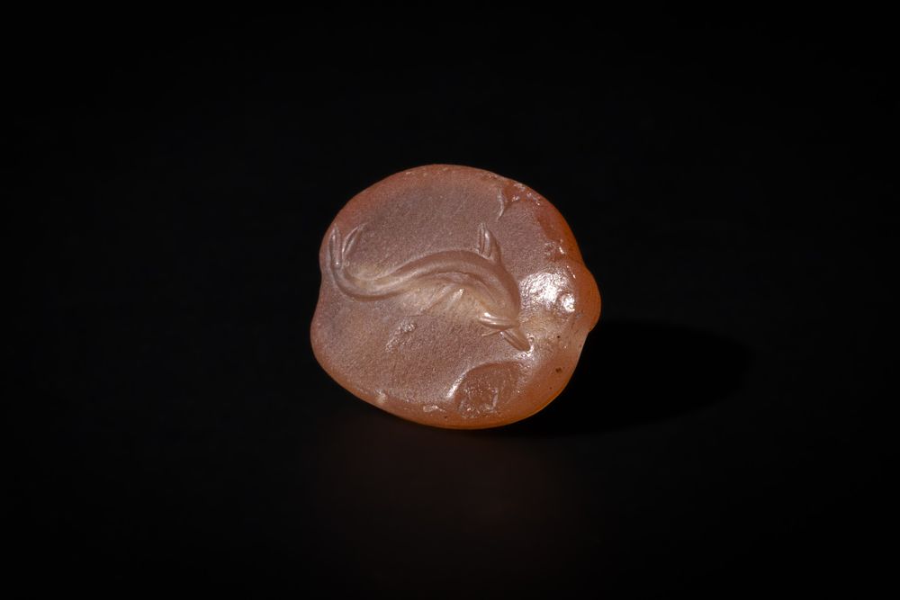 Lot 220: A Greek Carnelian Scarab Gem Depicting a Dolphin.