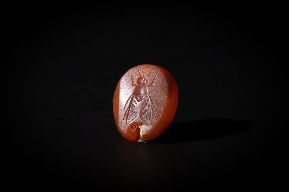 Lot 222: A Greek Red Agate Scarab Depicting a Fly.