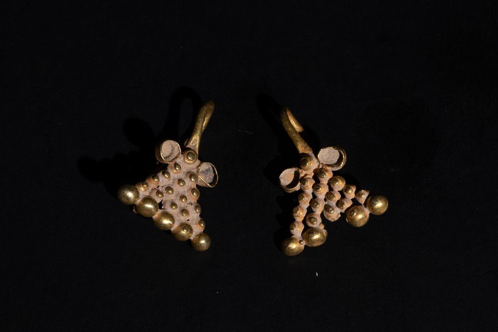 Lot 239: A Pair of Bactrian Gold Earrings, Circa 1st...